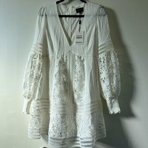 Bardot Mariah Spliced Dress in Ivory